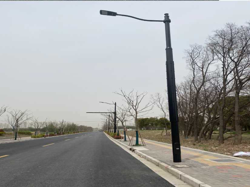 邻水县上海综合杆 太阳能路灯工程